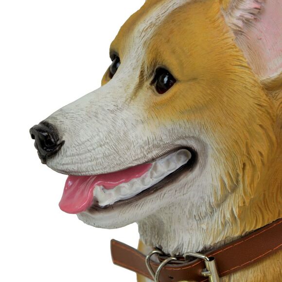 Jasper the Welsh Corgi Dog Realistic Lifelike Statue with Reversible Sign - Picture 3 of 7